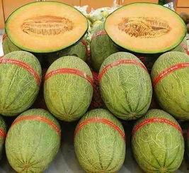 老人吃的蜜瓜怎么吃最好,老人如何轻松享用夏日清凉蜜瓜