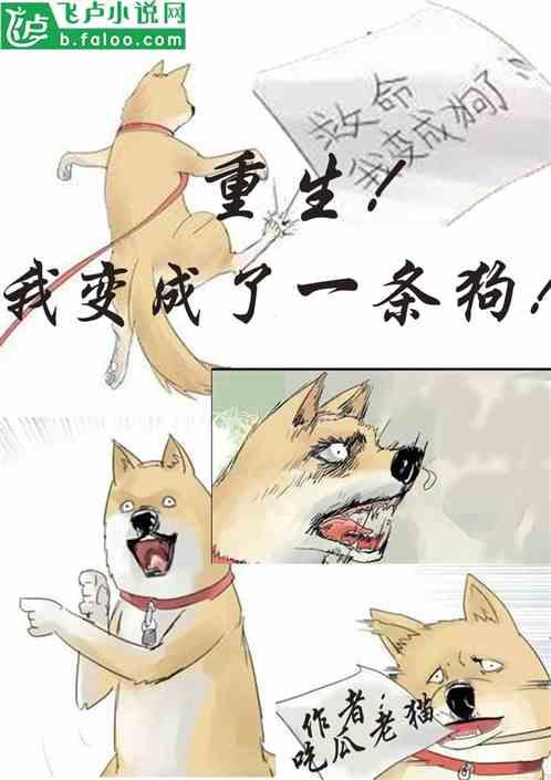 吃瓜胡闹小说,一场校园风云的狂欢盛宴