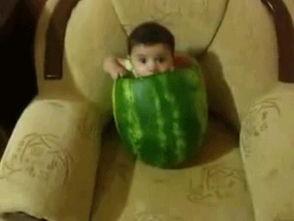 再吃这个瓜图片,网络热议背后的真相与反思