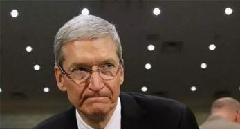 瓦达吃瓜啥意思,揭秘网络热词背后的趣味与内涵