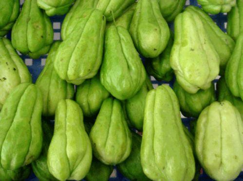 佛手瓜给孩子吃,宝宝辅食新选择