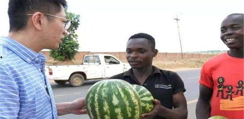 外国怎么吃瓜,各国独特的瓜类美食探索