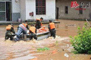 吃瓜第一线 瓜农