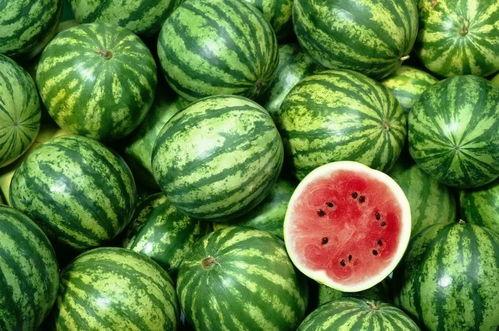 全网吃瓜大全分享,揭秘娱乐圈幕后真相与热点事件!