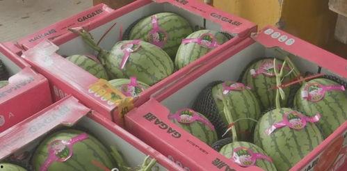 公司福利吃瓜,吃瓜群众也能享受的甜蜜福利盛宴