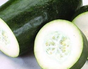 吃瓜的厨子,一勺一筷，品味人间烟火