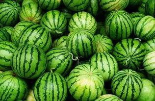 吃瓜群热门视频素材