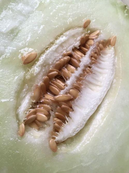 年底吃瓜视频,盘点年度最热吃瓜视频大盘点