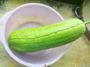 水瓜是否要剥皮吃,食用选择指南